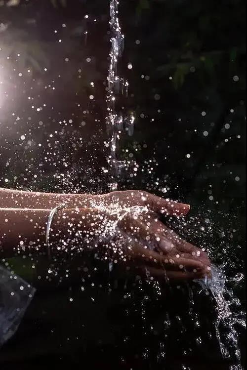 1584931856253849.jpg